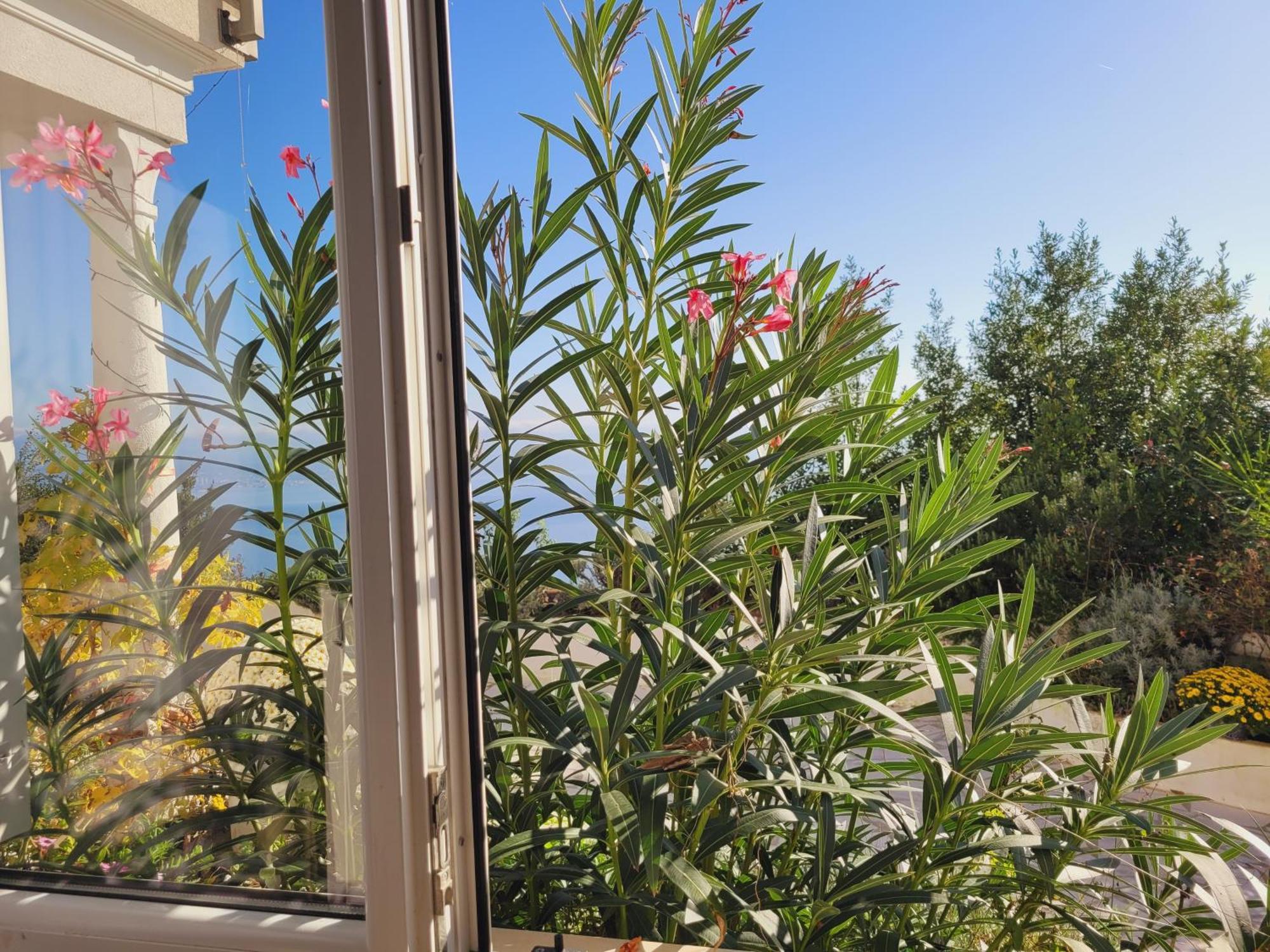 Apartments Chiara Mit Meerblick Und Pool Und Jacuzzi Lovran Exterior foto